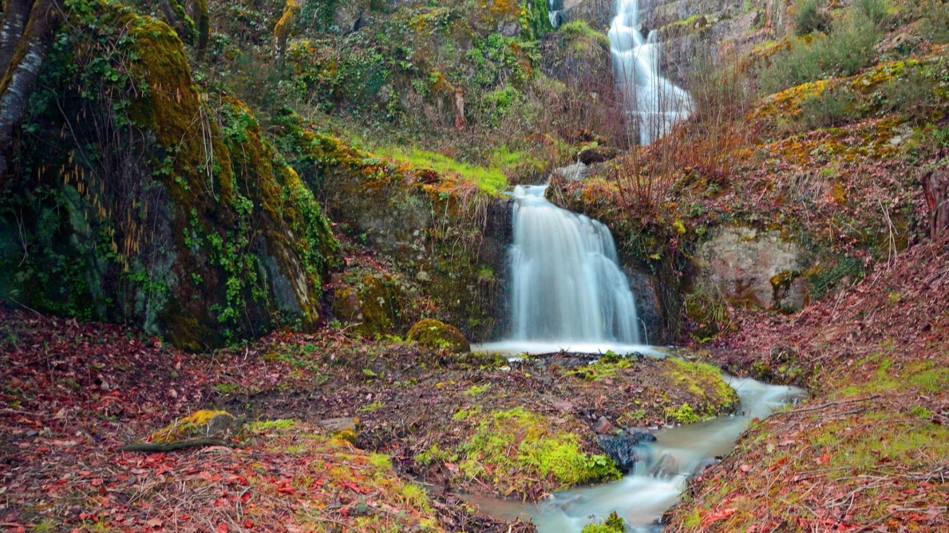 Обои водоем, природа, природный заповедник, водоток, вода в разрешении 1920x1080