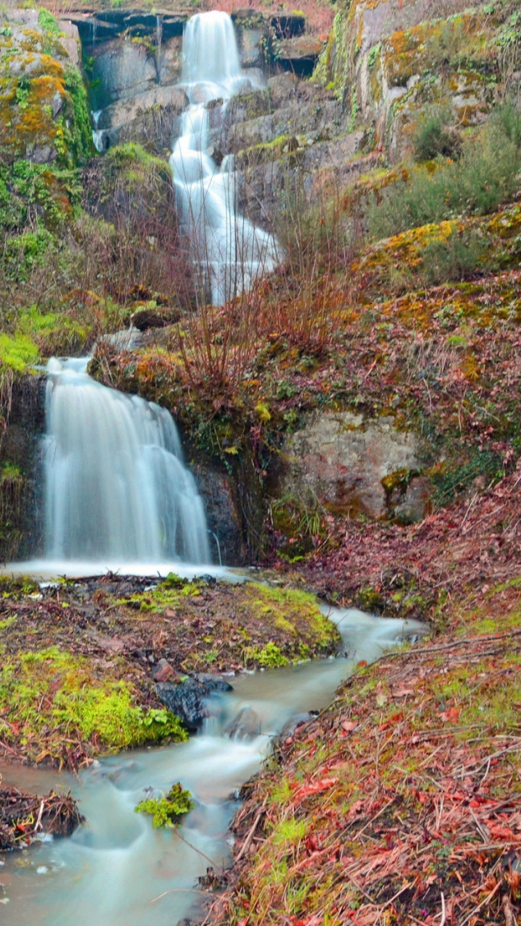 Обои водоем, природа, природный заповедник, водоток, вода в разрешении 750x1334