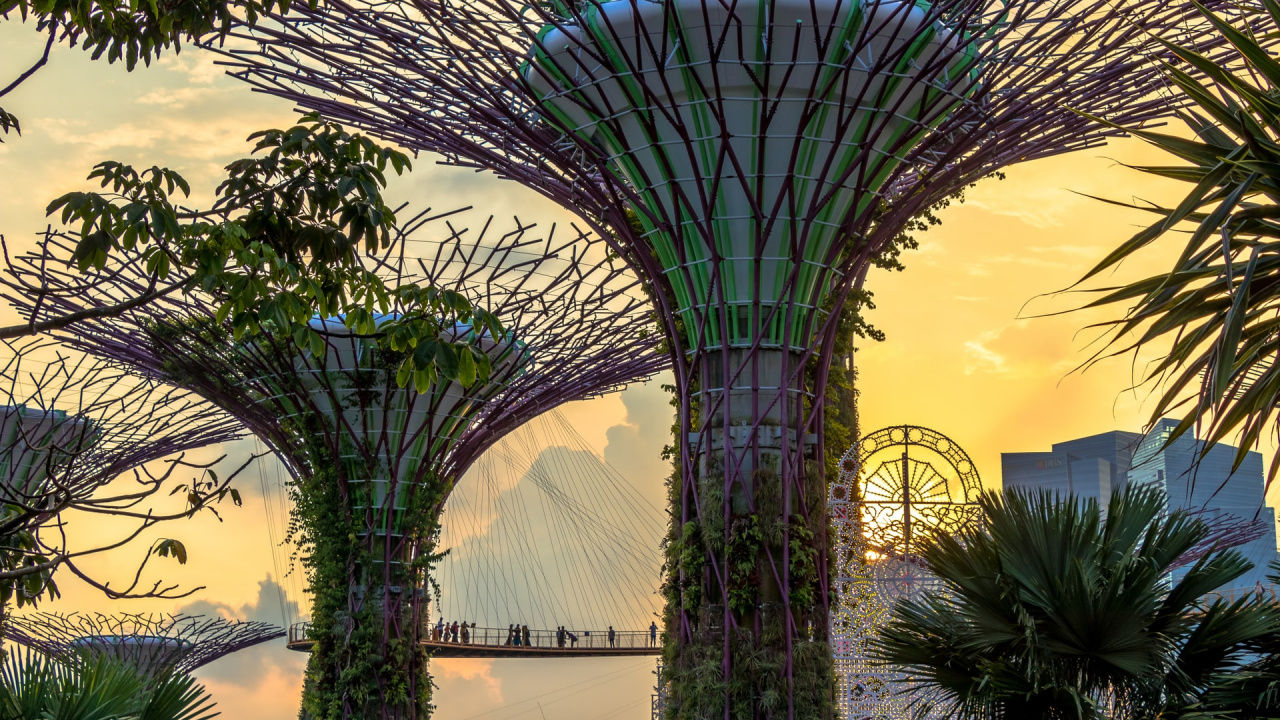 Обои современная архитектура, архитектура, растение, свет, природа в разрешении 1280x720