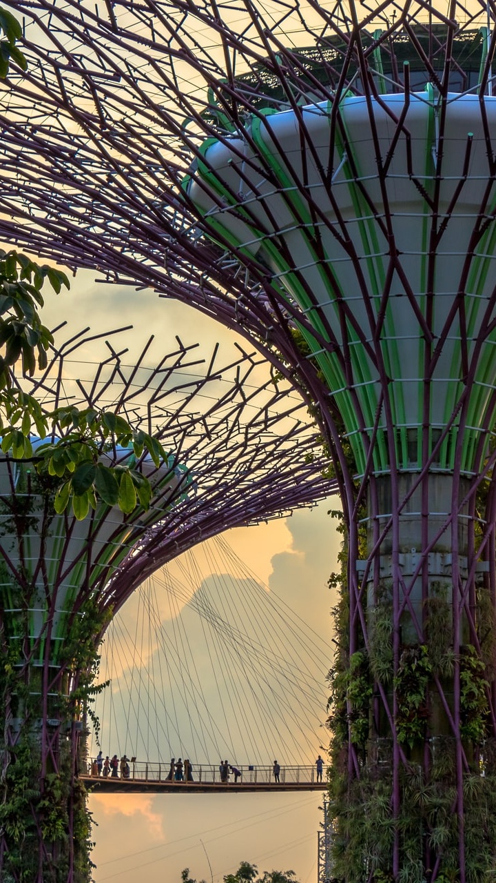 Обои современная архитектура, архитектура, растение, свет, природа в разрешении 720x1280