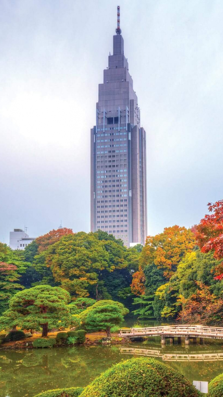 Обои парк, природа, дерево, ориентир, лист в разрешении 750x1334