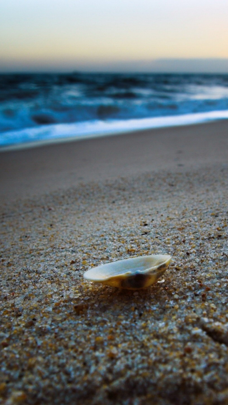 Обои пляж, песок, море, волна, океан в разрешении 750x1334