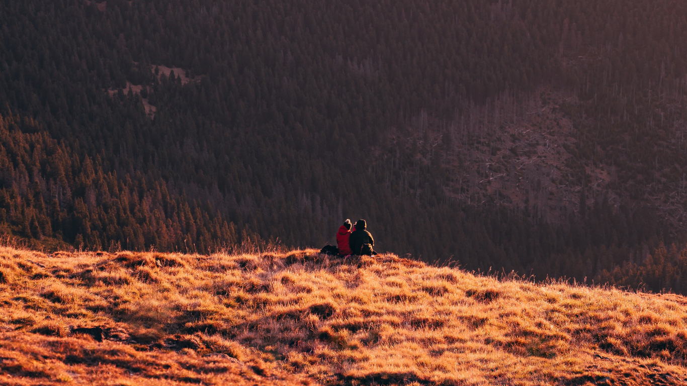 Обои сумрак, дикая местность, национальный парк, небо, дерево в разрешении 1366x768