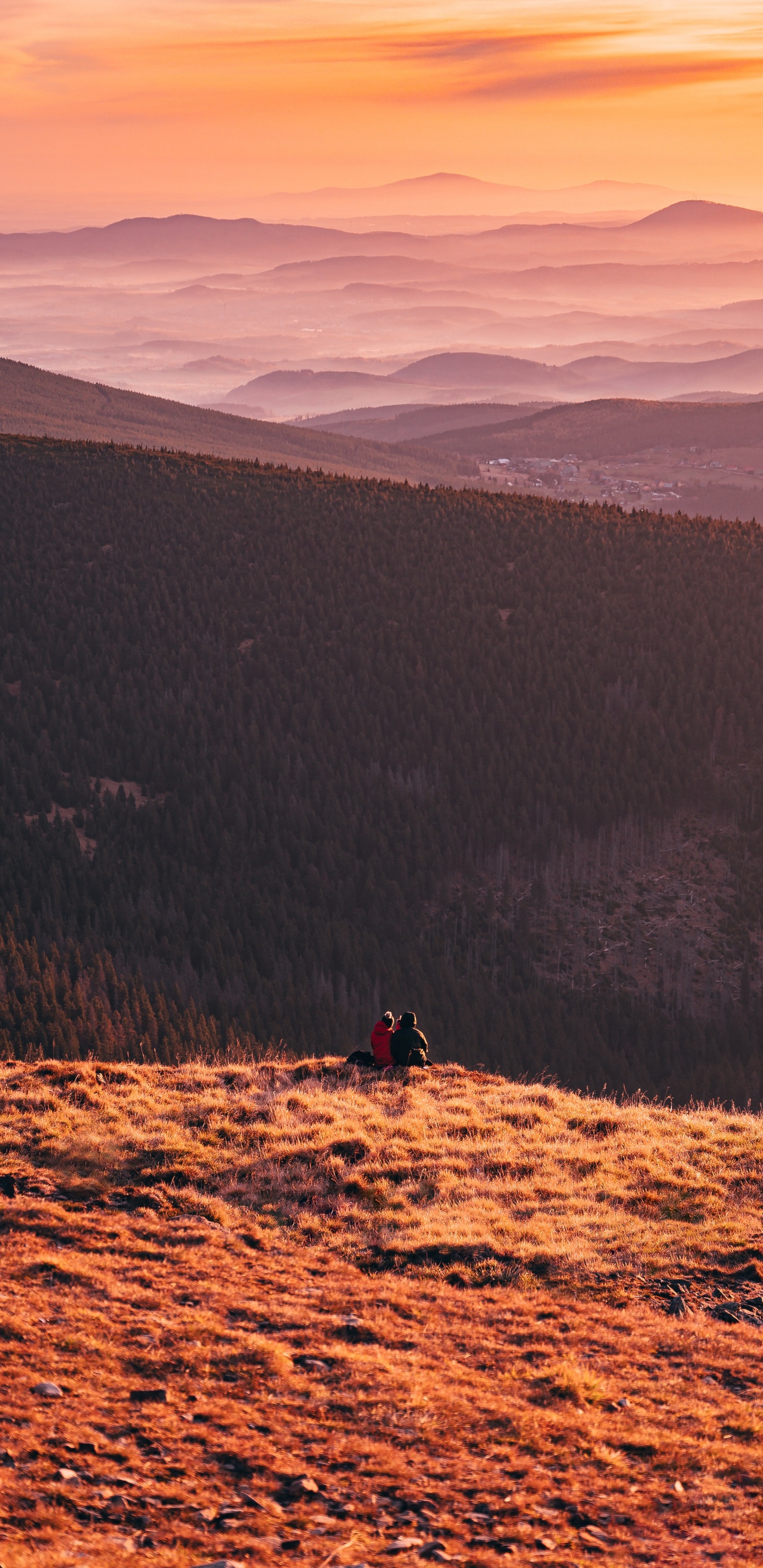 Обои сумрак, дикая местность, национальный парк, небо, дерево в разрешении 1440x2960