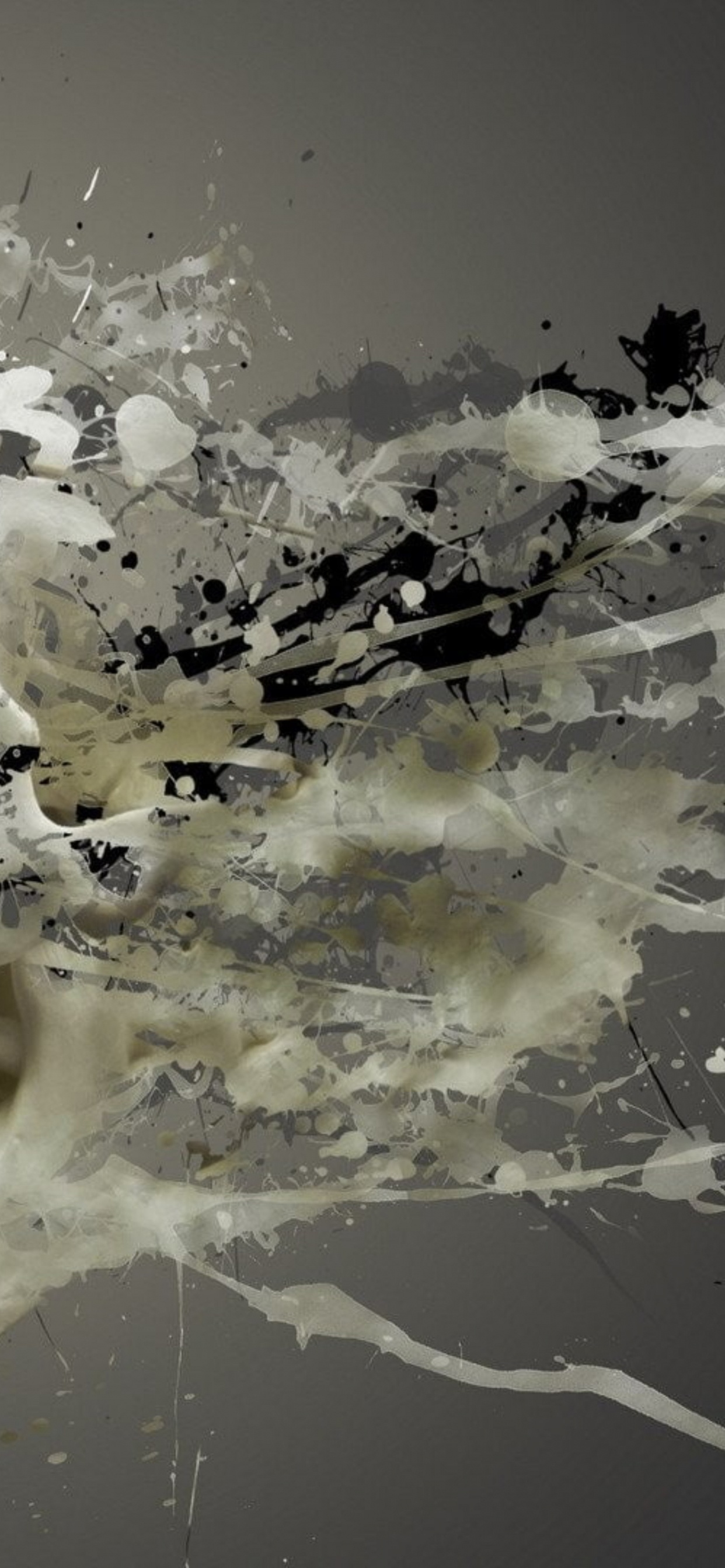 Обои распадающийся череп, кость, арт, череп, ресничка в разрешении 1242x2688