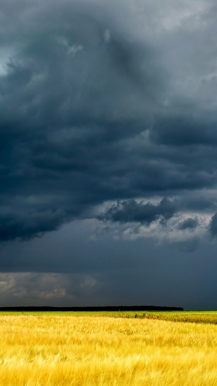 Обои облако, поле, сенокосное угодье, природа, прерия в разрешении 750x1334