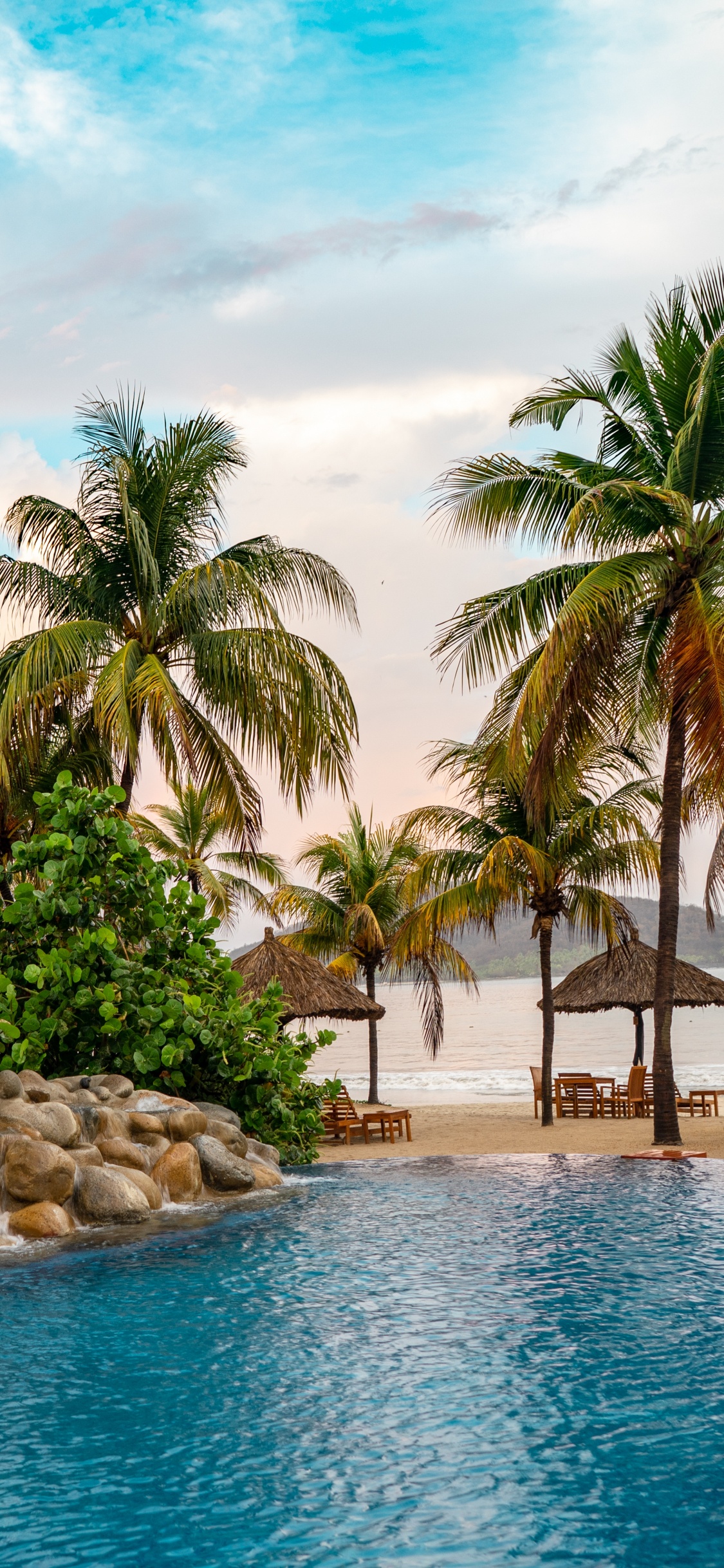 Обои плавательный бассейн, вода, ладонь, растение, море в разрешении 1125x2436