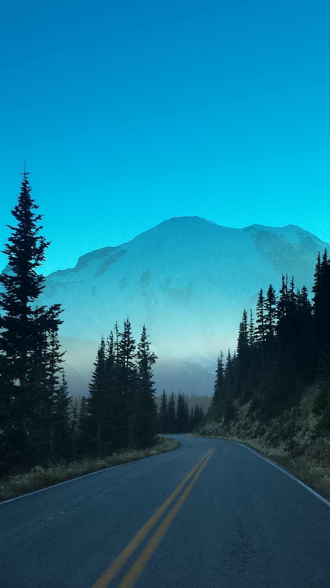 Обои гора, дорога, лес, горный хребет, природа в разрешении 1080x1920