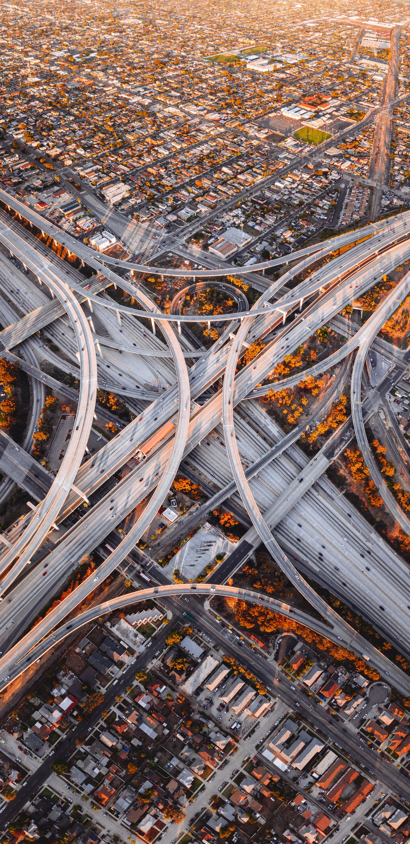 Обои линия, дерево, железо, растение, небо в разрешении 1440x2960