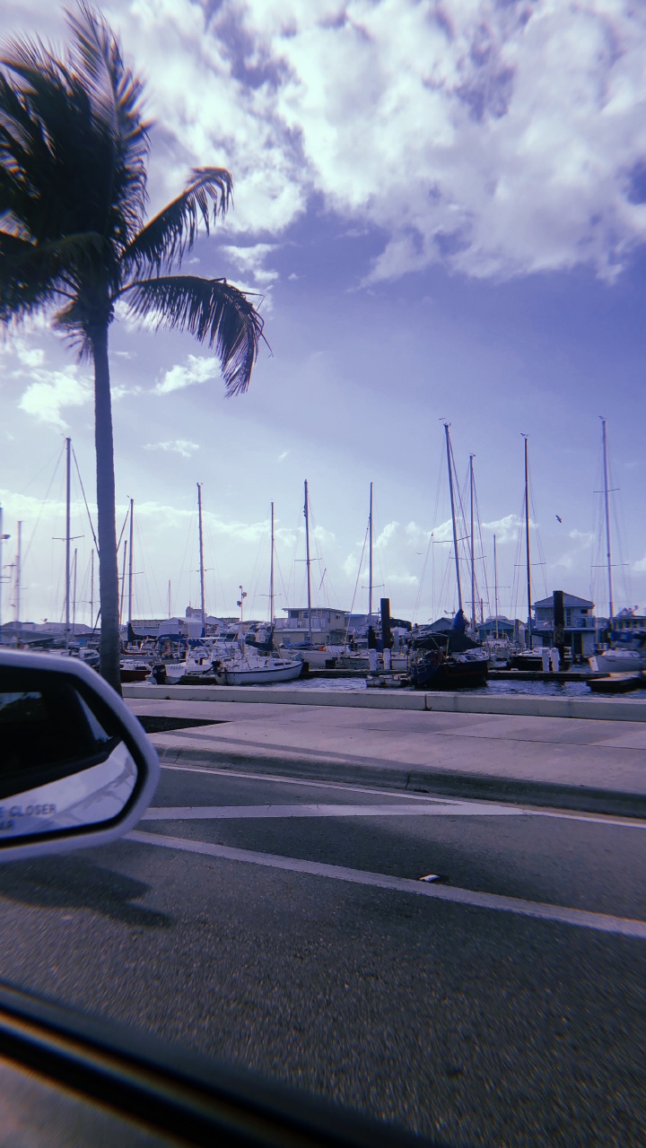 Обои Король, автомобильное зеркало, дорога, инфраструктура, облако в разрешении 720x1280