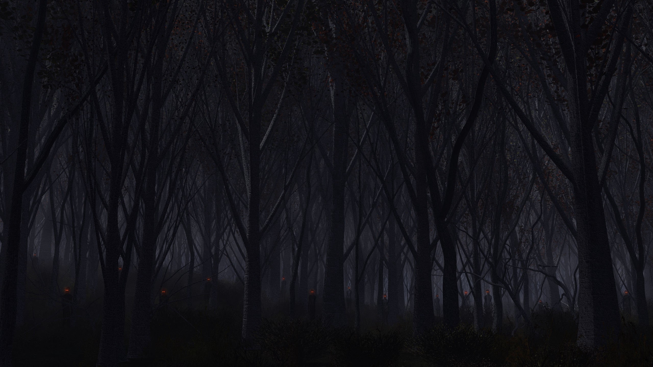 Темный лес обои, темный лес HD картинки, фото скачать бесплатно