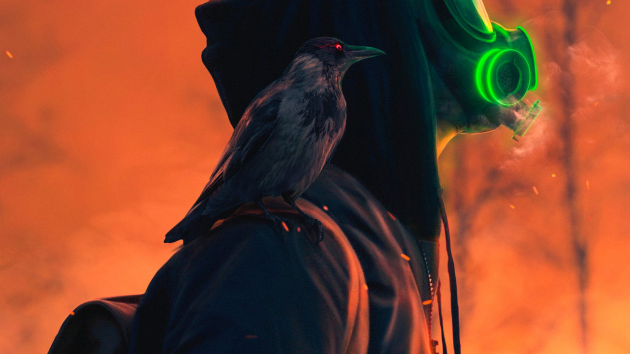 Обои Оранжевый цвет, дерево, клюв, птица, куртка в разрешении 1280x720