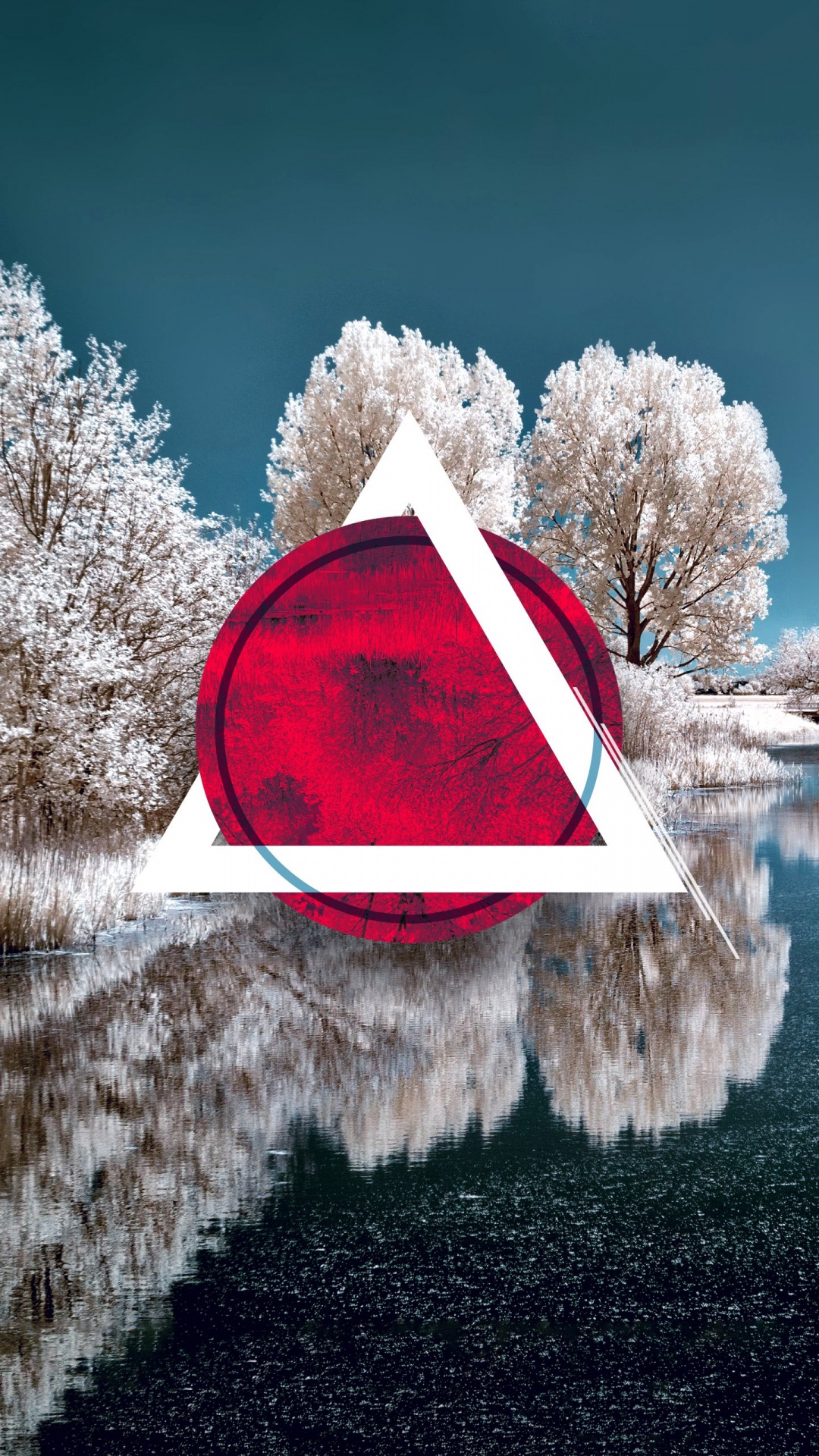 Обои зима, снег, вода, растение, природа в разрешении 1080x1920