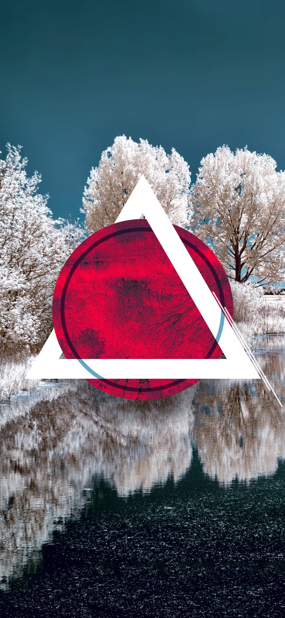 Обои зима, снег, вода, растение, природа в разрешении 1125x2436