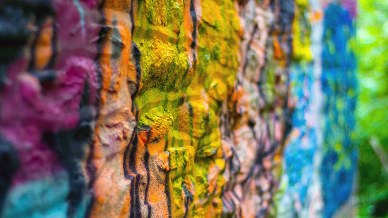 Обои зеленый, евклидов вектор, лист, синий, дерево в разрешении 1280x720