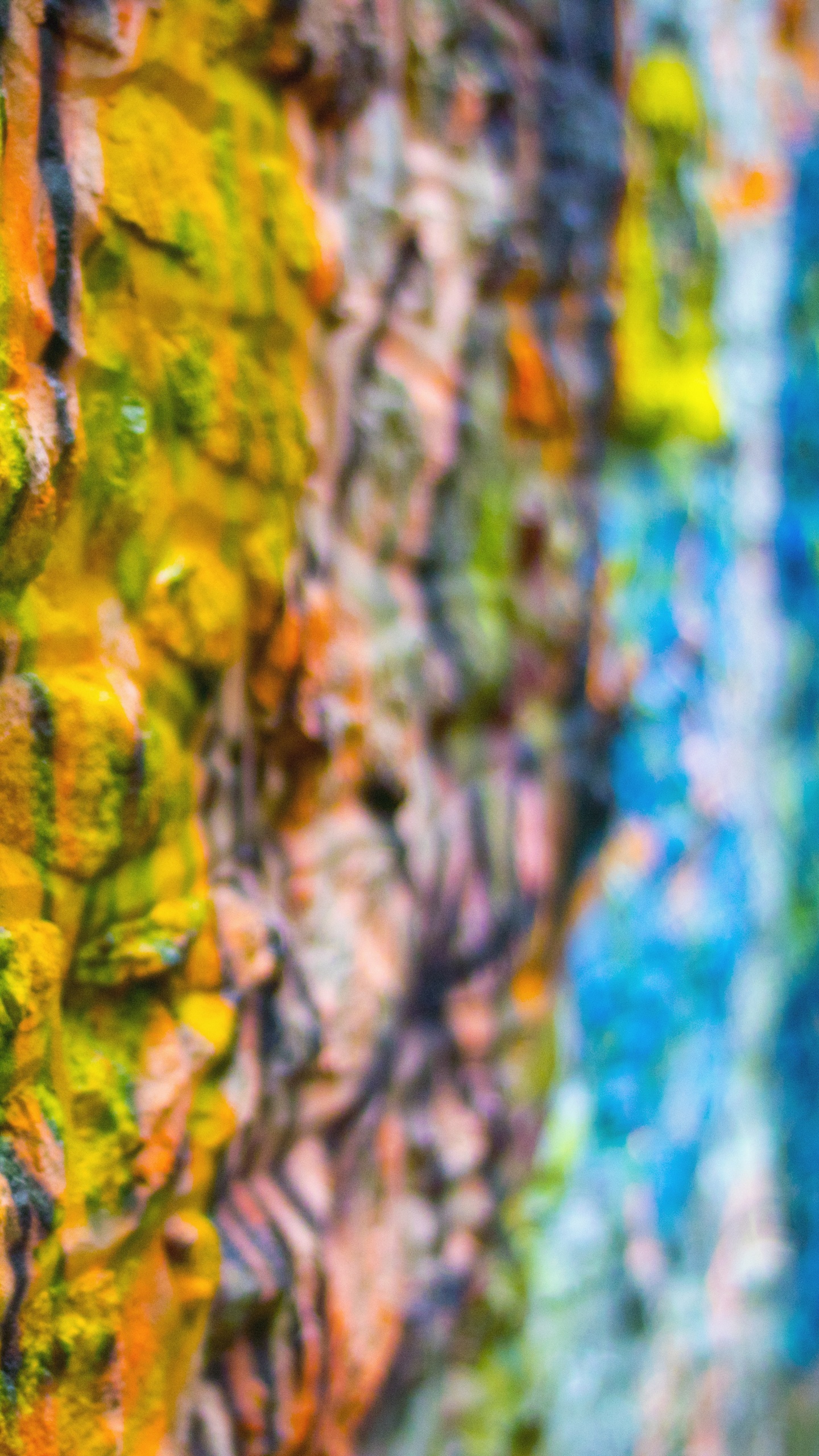 Обои зеленый, евклидов вектор, лист, синий, дерево в разрешении 1440x2560