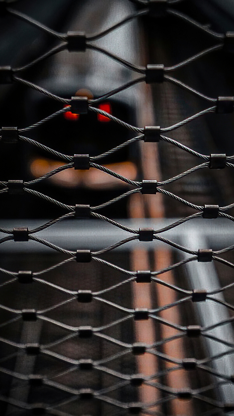 Обои ограждать провода, ячейка, материальное свойство, забор, узор в разрешении 750x1334