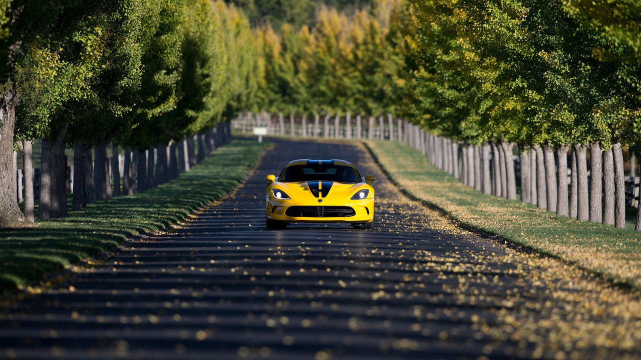 Обои уловка Viper, спорткар, авто, желтый, асфальт в разрешении 1280x720