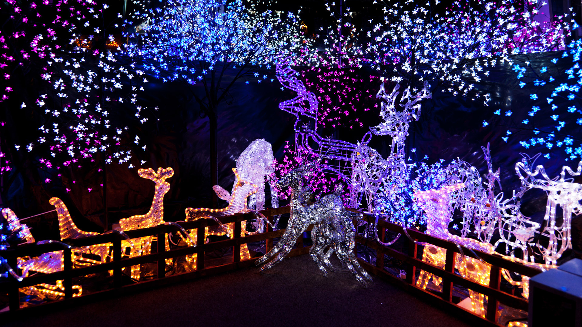 Обои Рождественский день, Рождественские украшения, Рождественские огни, елка, праздник в разрешении 1920x1080