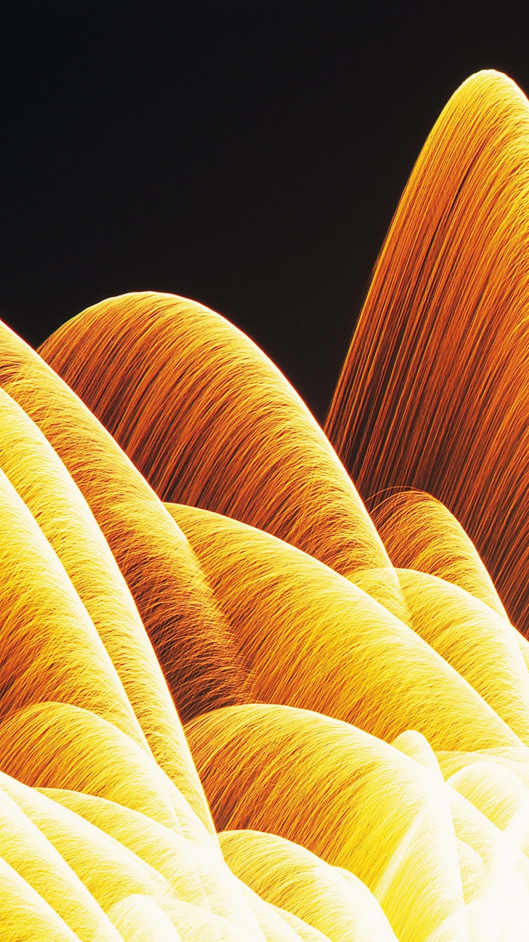 Обои пыльца, древесный уголь, желтый, лепесток, небо в разрешении 1080x1920