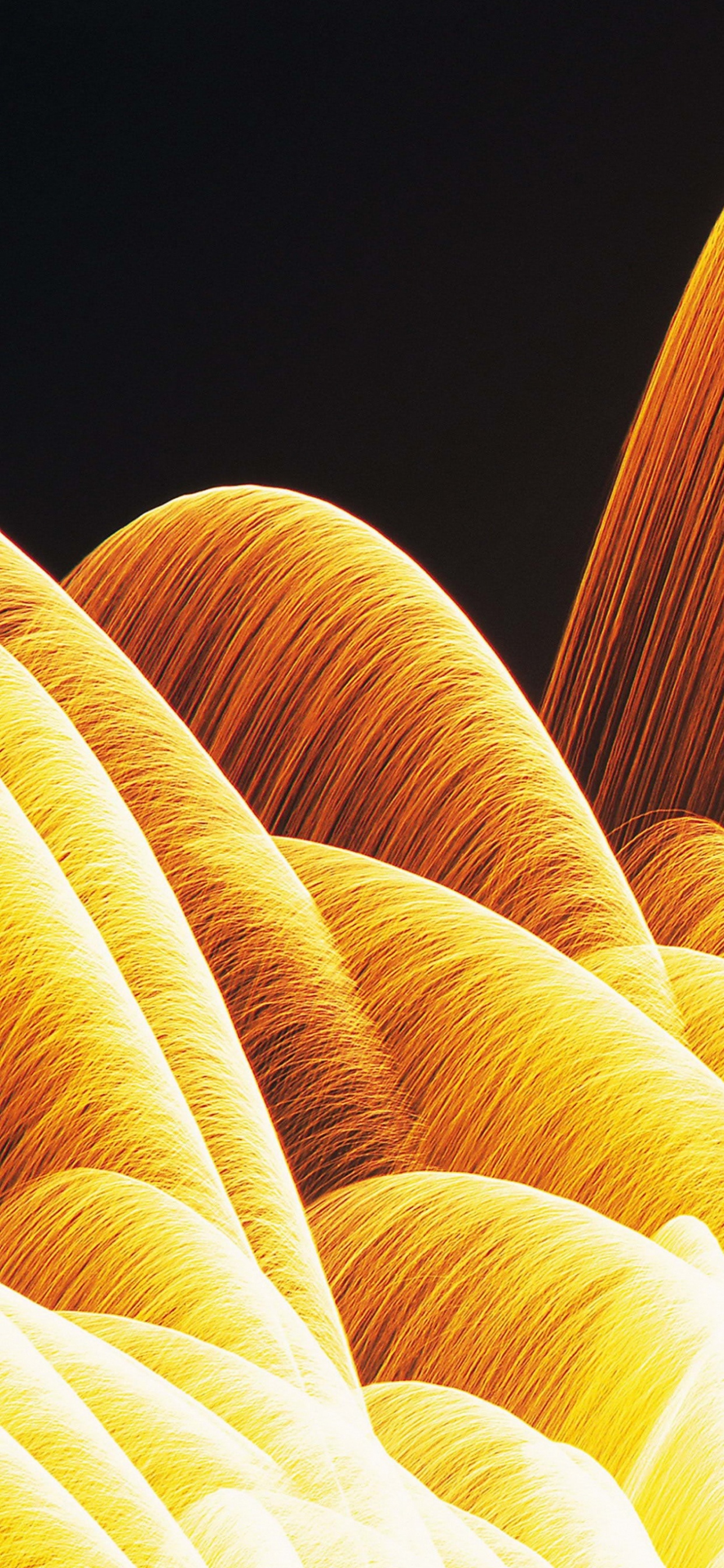 Обои пыльца, древесный уголь, желтый, лепесток, небо в разрешении 1242x2688