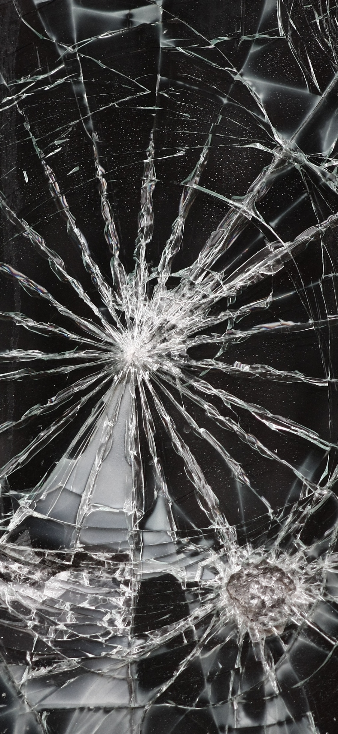 Обои белые, черный, вода, одуванчик, паутина в разрешении 1125x2436