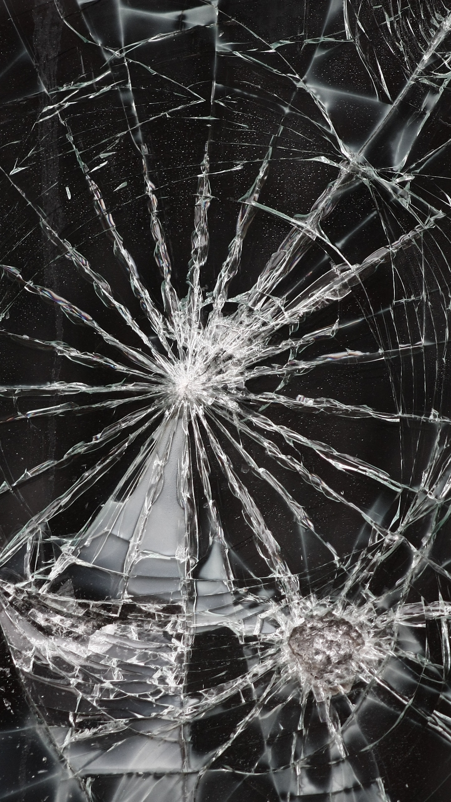 Обои белые, черный, вода, одуванчик, паутина в разрешении 1440x2560