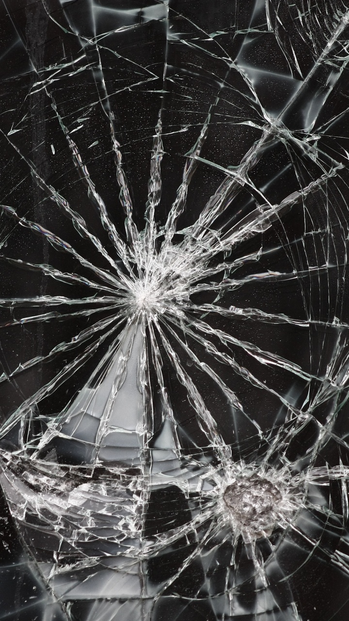 Обои белые, черный, вода, одуванчик, паутина в разрешении 720x1280