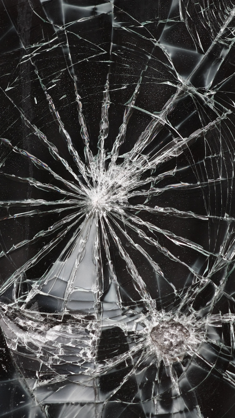 Обои белые, черный, вода, одуванчик, паутина в разрешении 750x1334