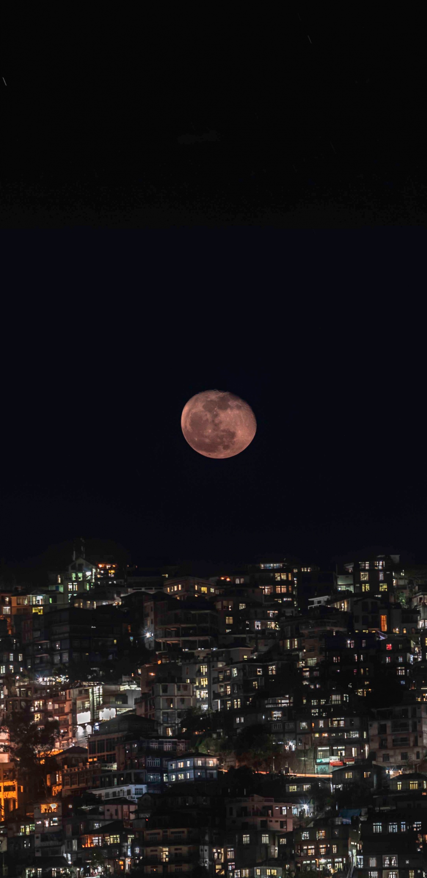 Обои ночь, луна, небесное явление, свет, астрономический объект в разрешении 1440x2960