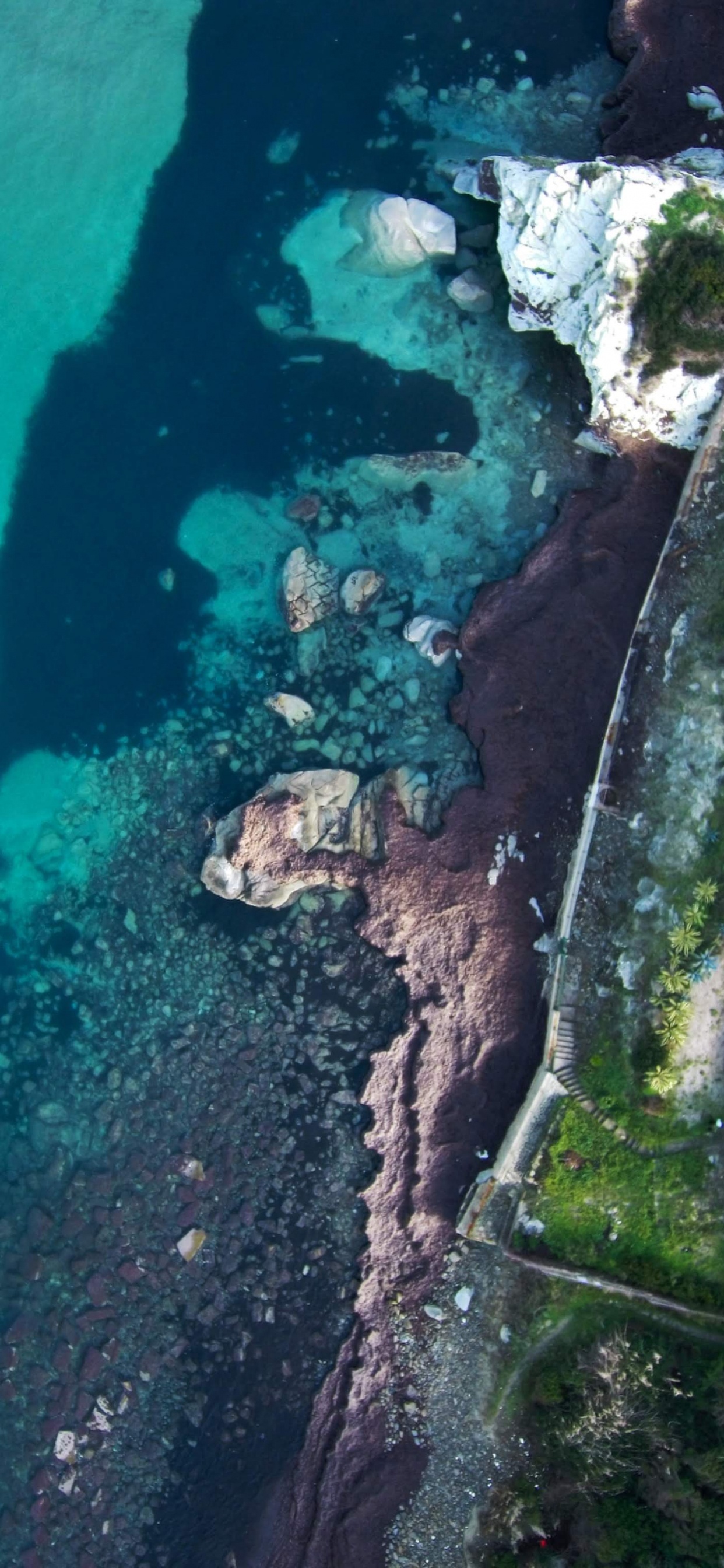 Обои Google, Google Pixel 4, вода, андроид, пиксель 4 в разрешении 1242x2688