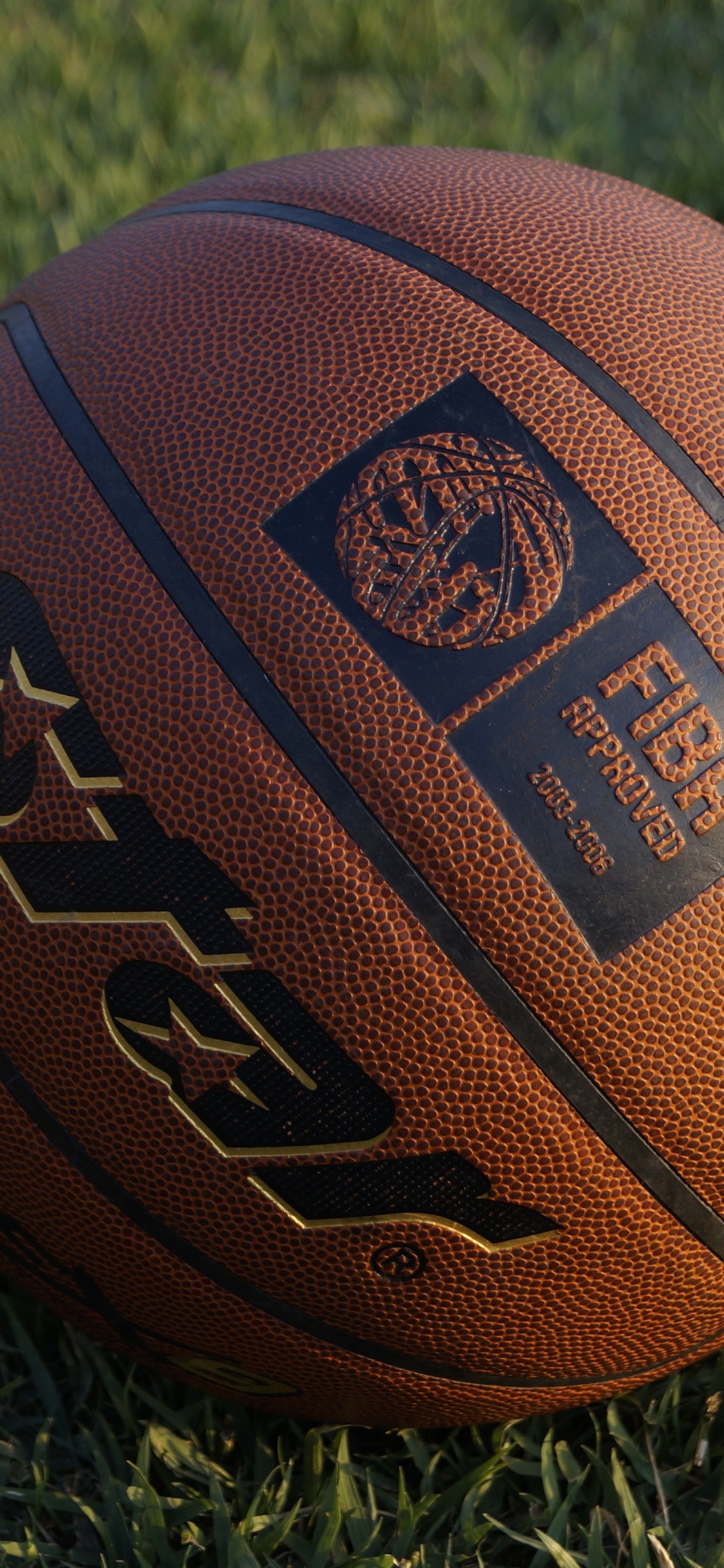 Обои баскетбол на траве, Баскетбол, мяч, Международная Федерация баскетбола, футбольный мяч в разрешении 1125x2436