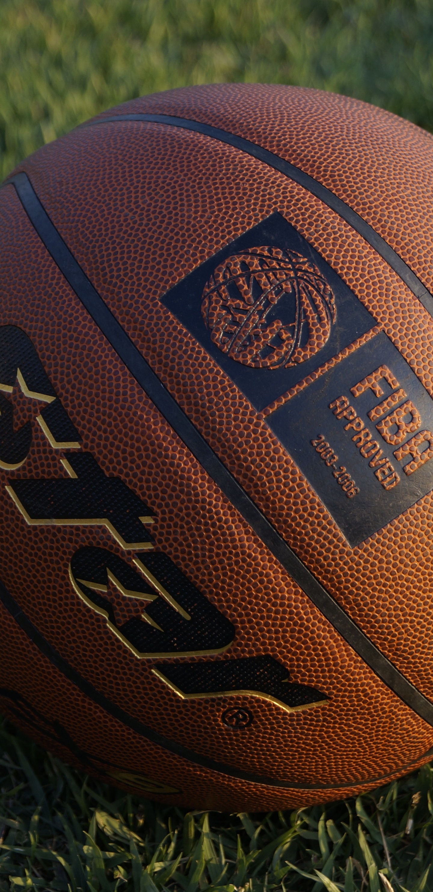 Обои баскетбол на траве, Баскетбол, мяч, Международная Федерация баскетбола, футбольный мяч в разрешении 1440x2960