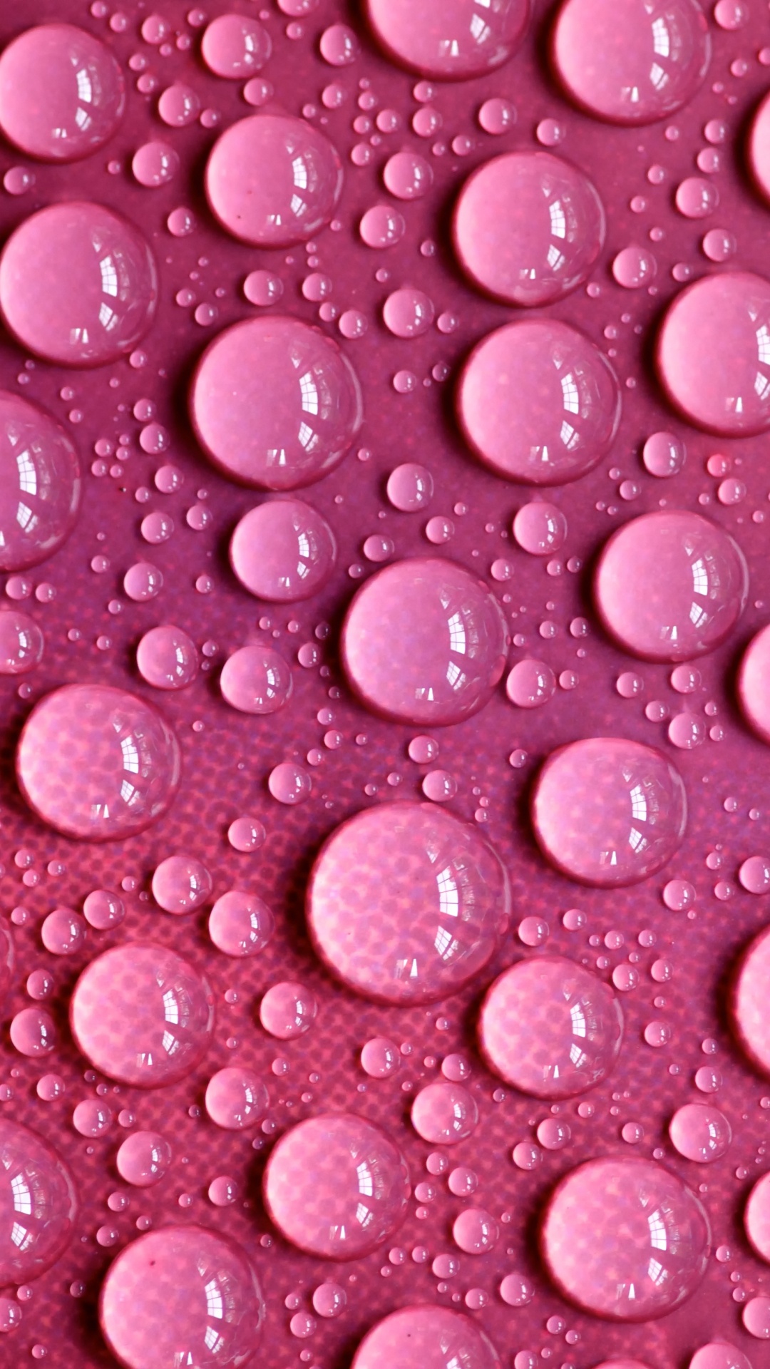 Обои пурпурный цвет, роса, влага, вода, капля воды в разрешении 1080x1920