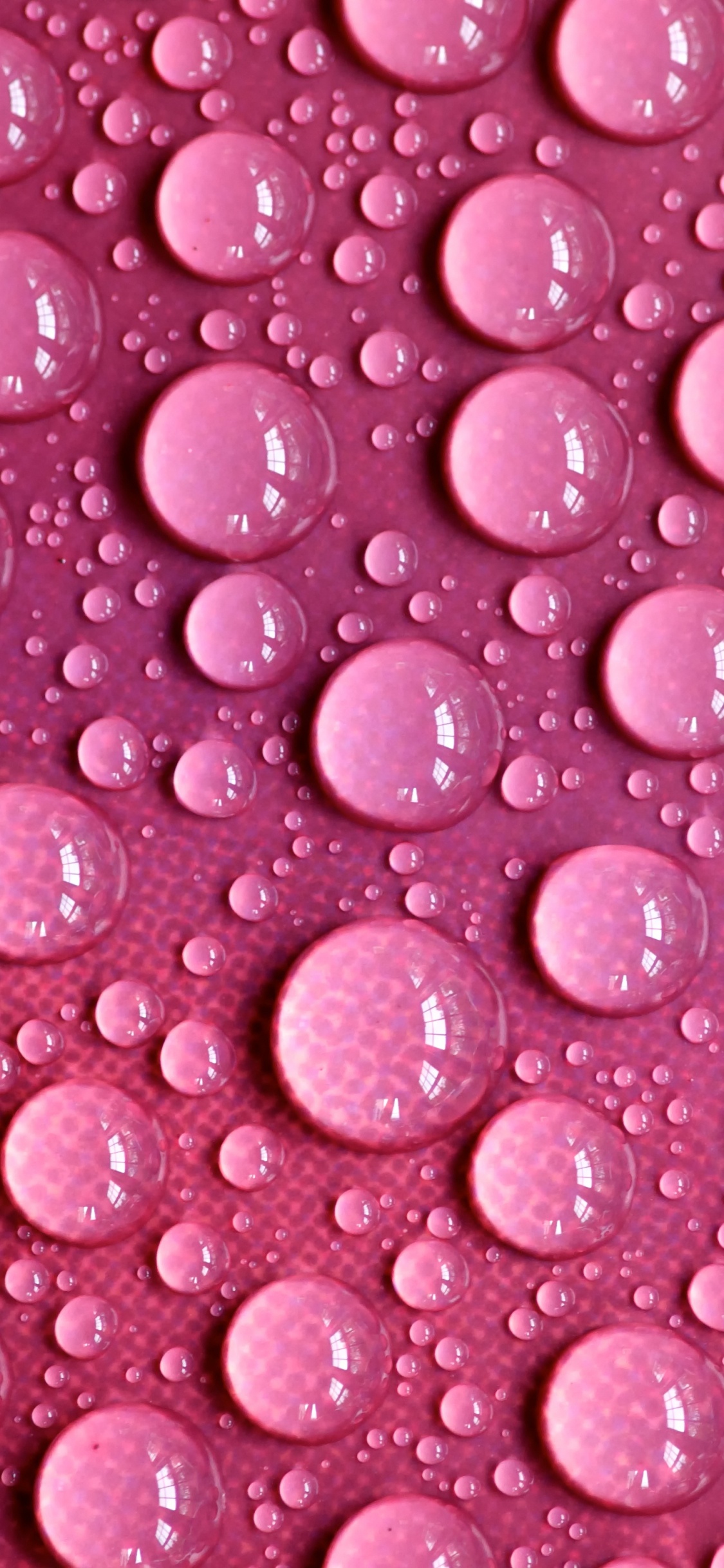 Обои пурпурный цвет, роса, влага, вода, капля воды в разрешении 1125x2436