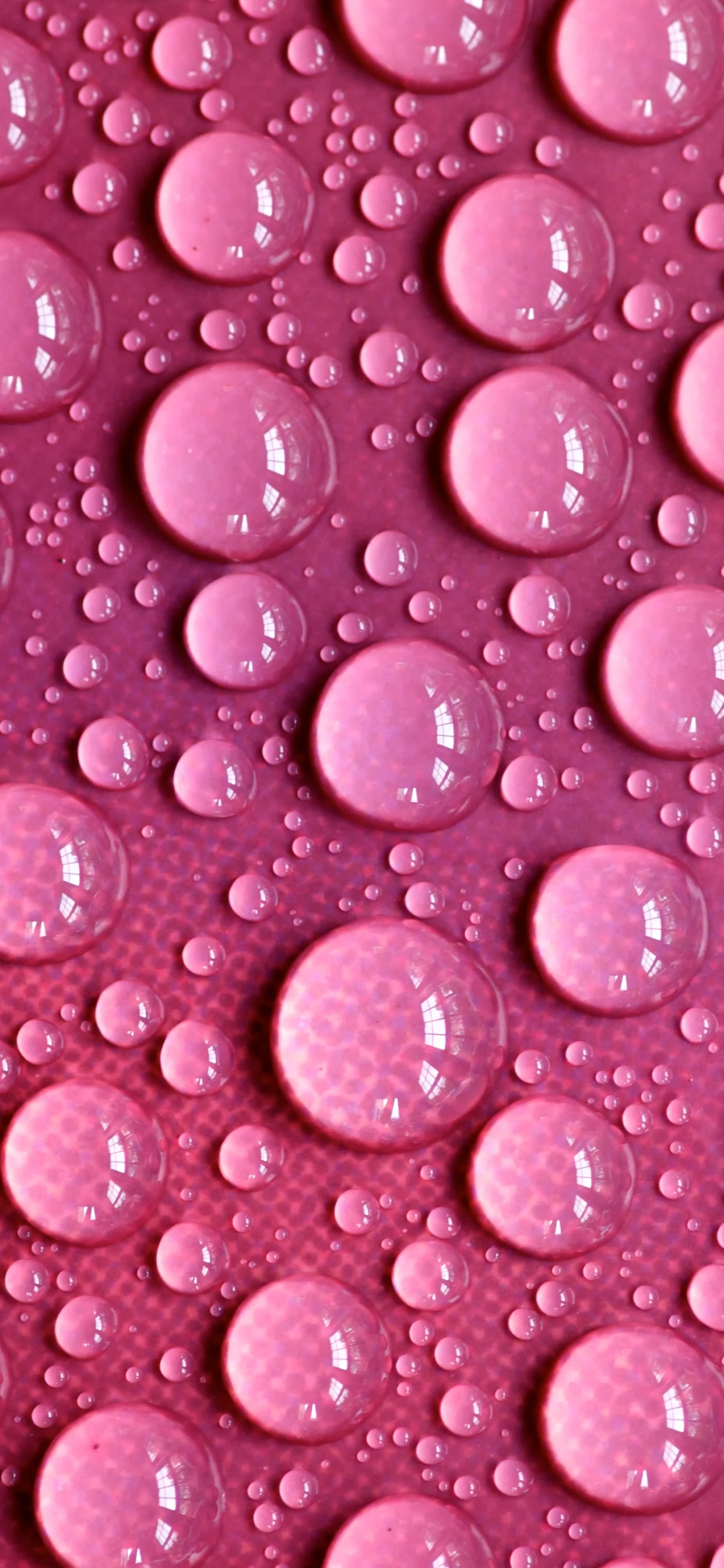 Обои пурпурный цвет, роса, влага, вода, капля воды в разрешении 1242x2688