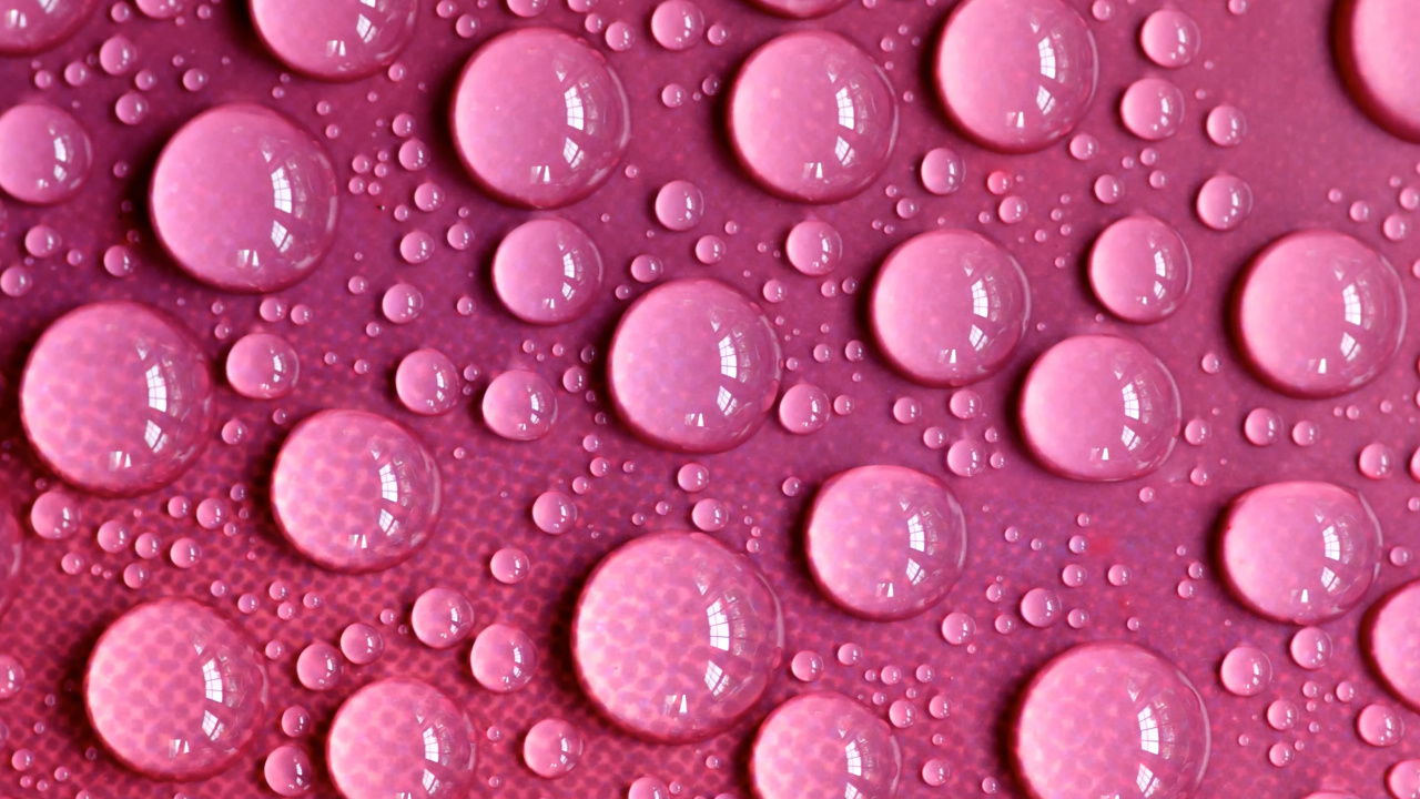 Обои пурпурный цвет, роса, влага, вода, капля воды в разрешении 1280x720