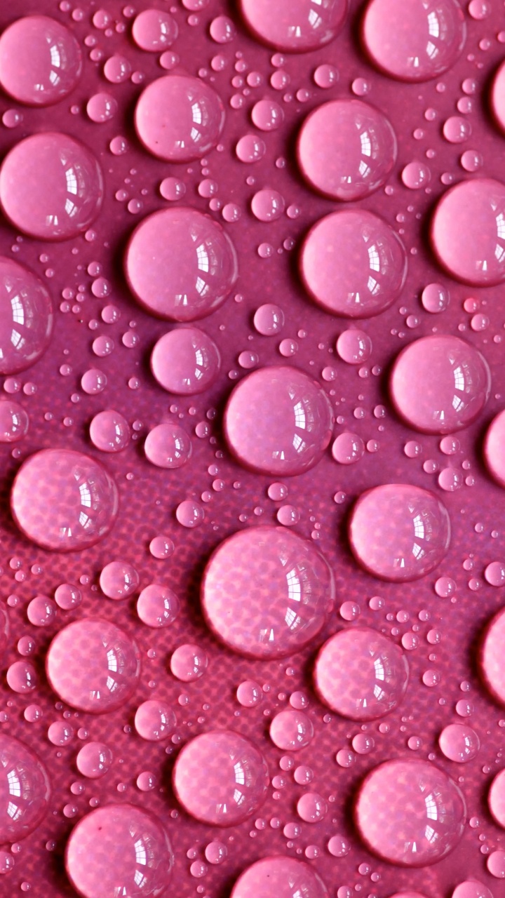 Обои пурпурный цвет, роса, влага, вода, капля воды в разрешении 720x1280