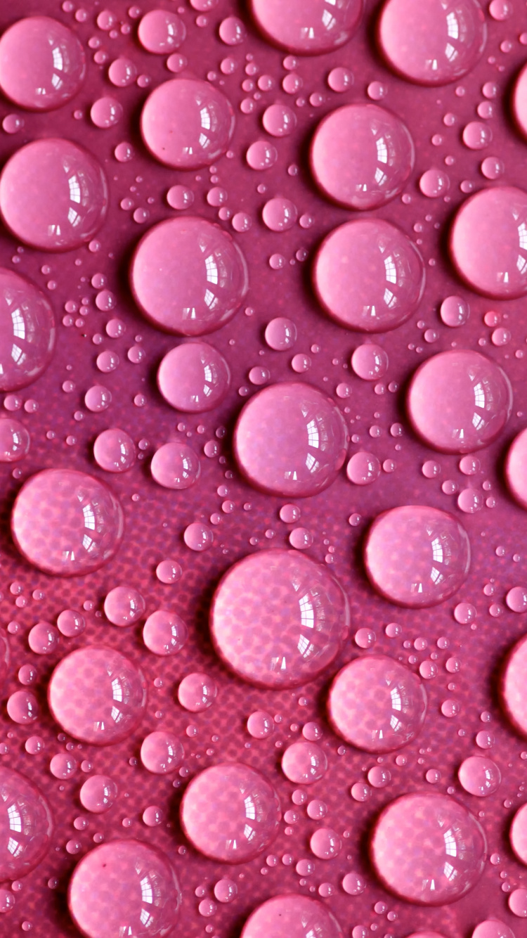 Обои пурпурный цвет, роса, влага, вода, капля воды в разрешении 750x1334