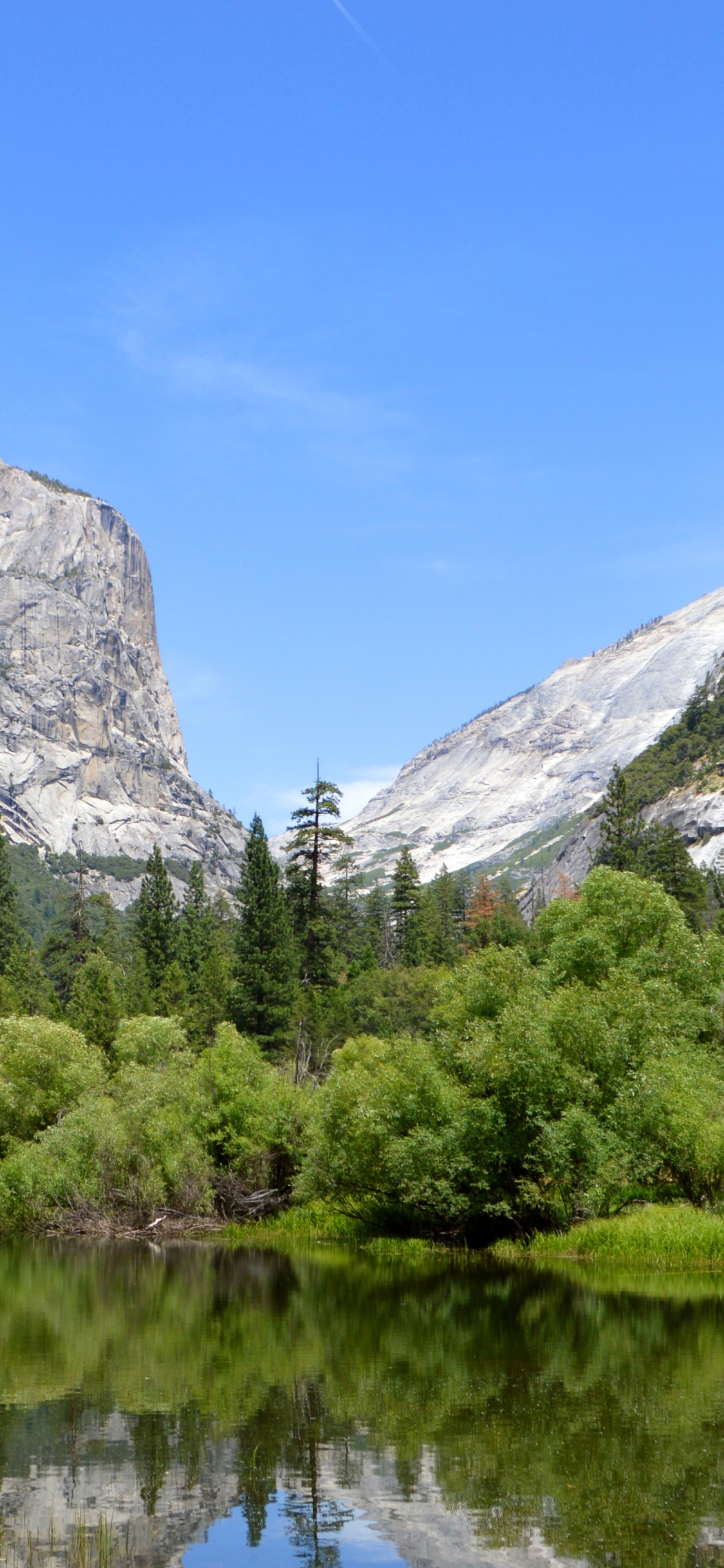Обои йосемитский национальный парк, национальный парк, парк, горный рельеф, гора в разрешении 1125x2436