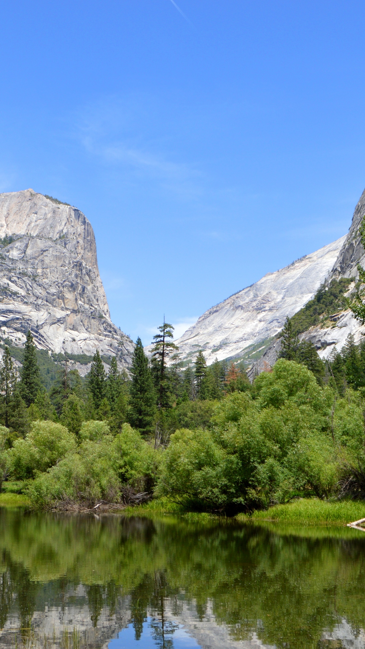 Обои йосемитский национальный парк, национальный парк, парк, горный рельеф, гора в разрешении 1440x2560