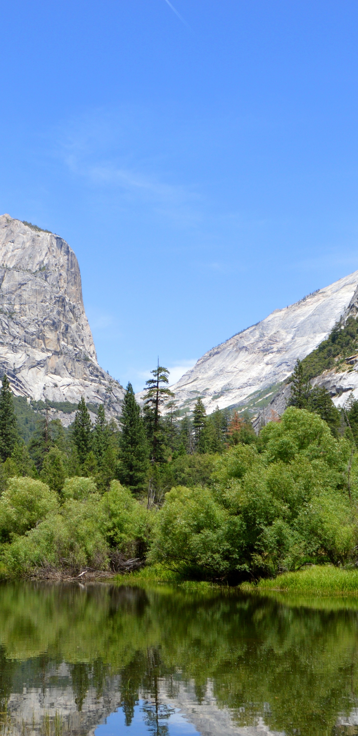 Обои йосемитский национальный парк, национальный парк, парк, горный рельеф, гора в разрешении 1440x2960