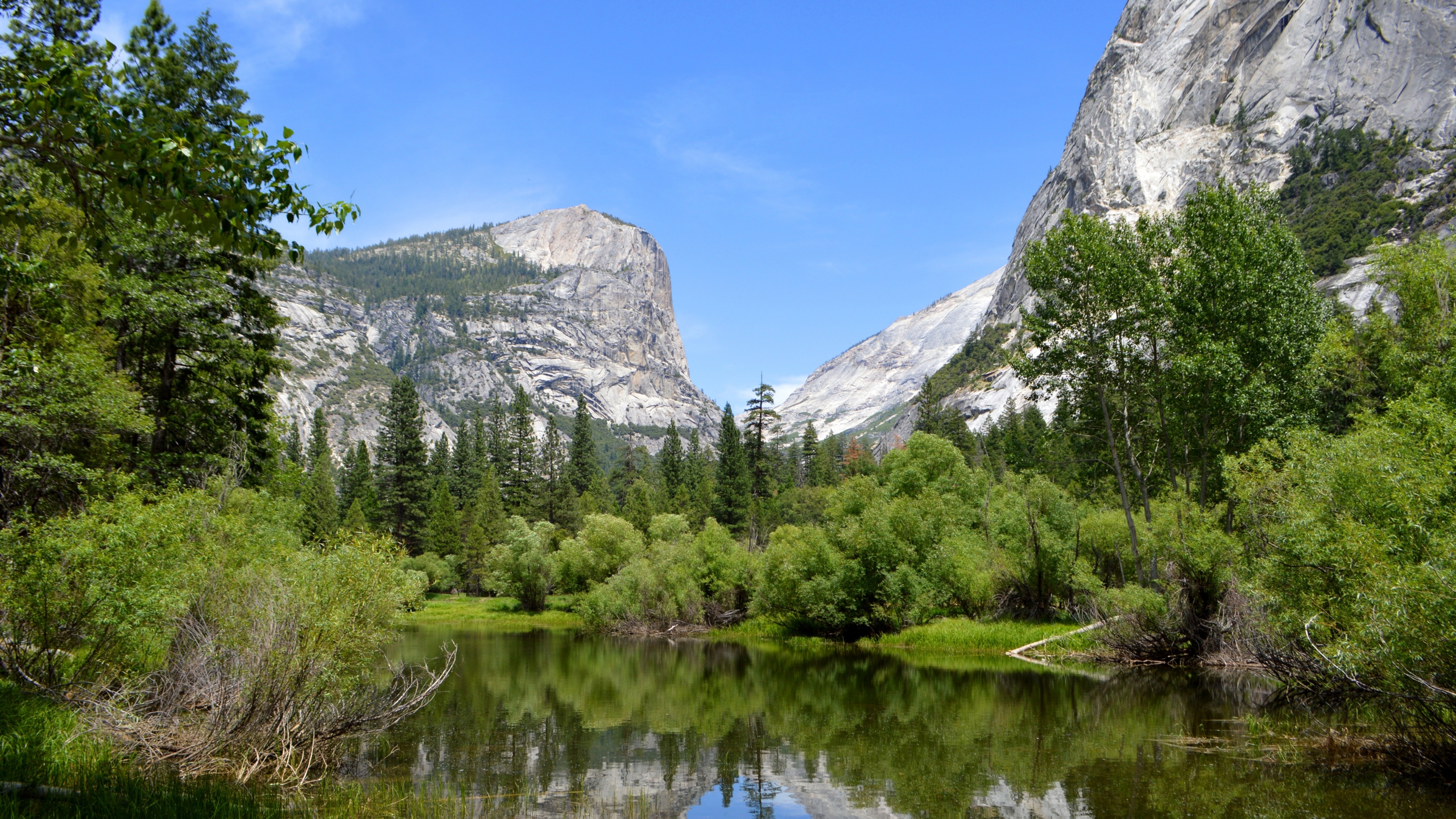 Обои йосемитский национальный парк, национальный парк, парк, горный рельеф, гора в разрешении 2560x1440