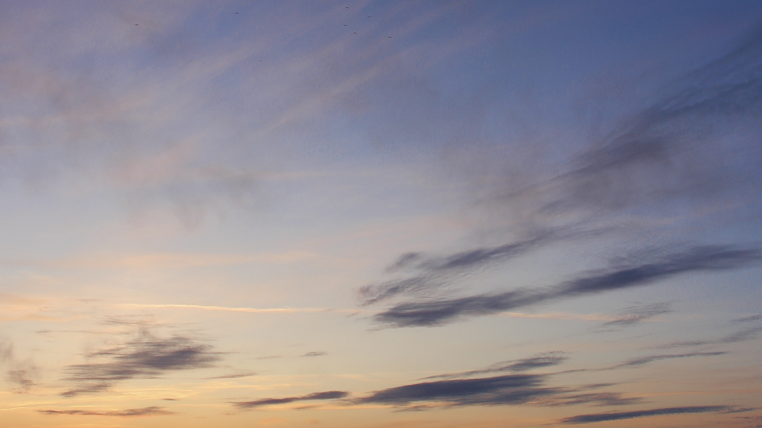 Обои море, закат, горизонт, послесвечение, облако в разрешении 2560x1440