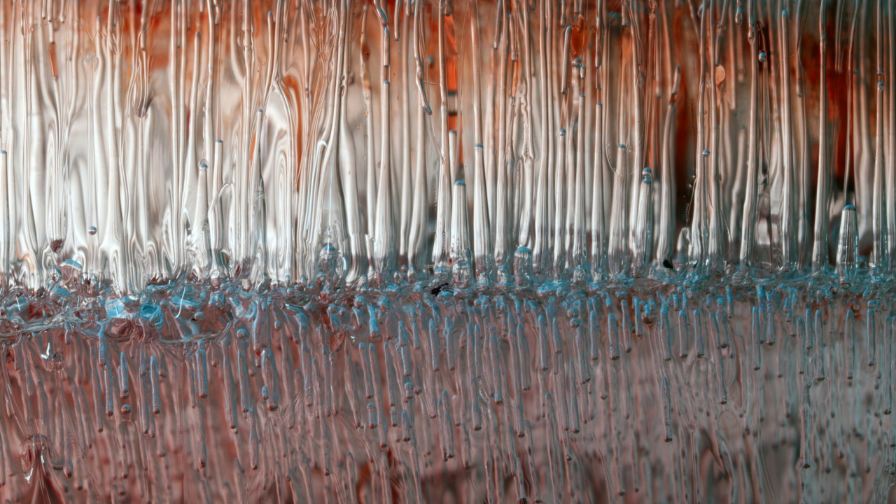 Обои вода, сезон, лес, семейство травы, бумага в разрешении 1280x720