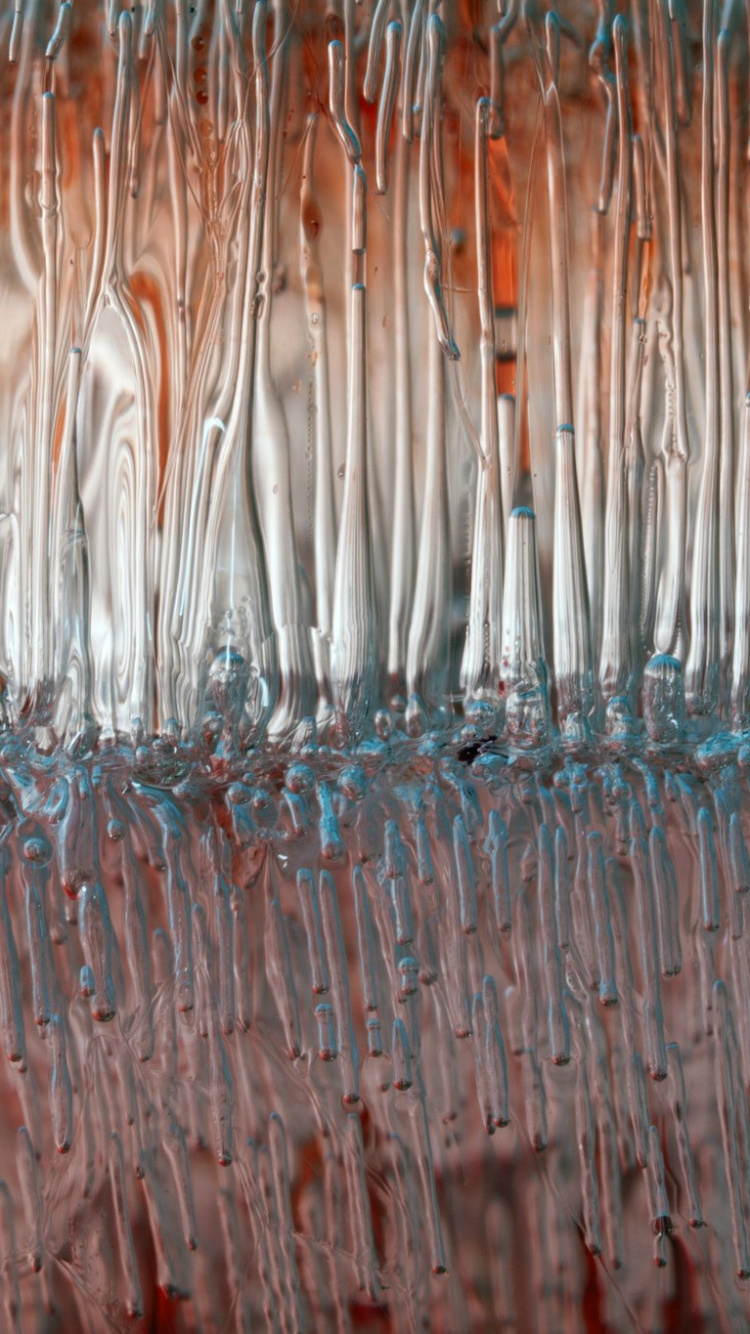 Обои вода, сезон, лес, семейство травы, бумага в разрешении 750x1334