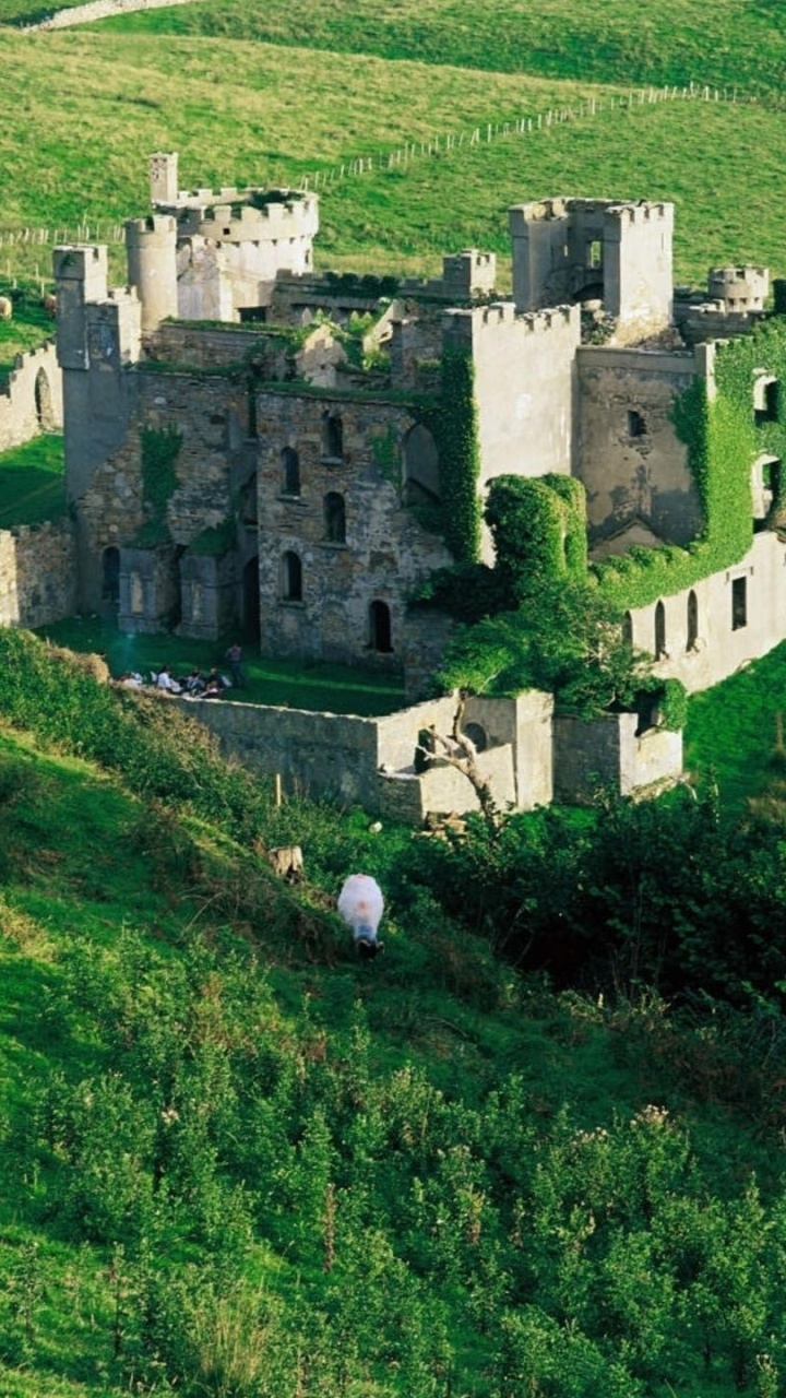 Обои замок, нагорье, сельский район, выгон, Бойницкий Замок в разрешении 720x1280