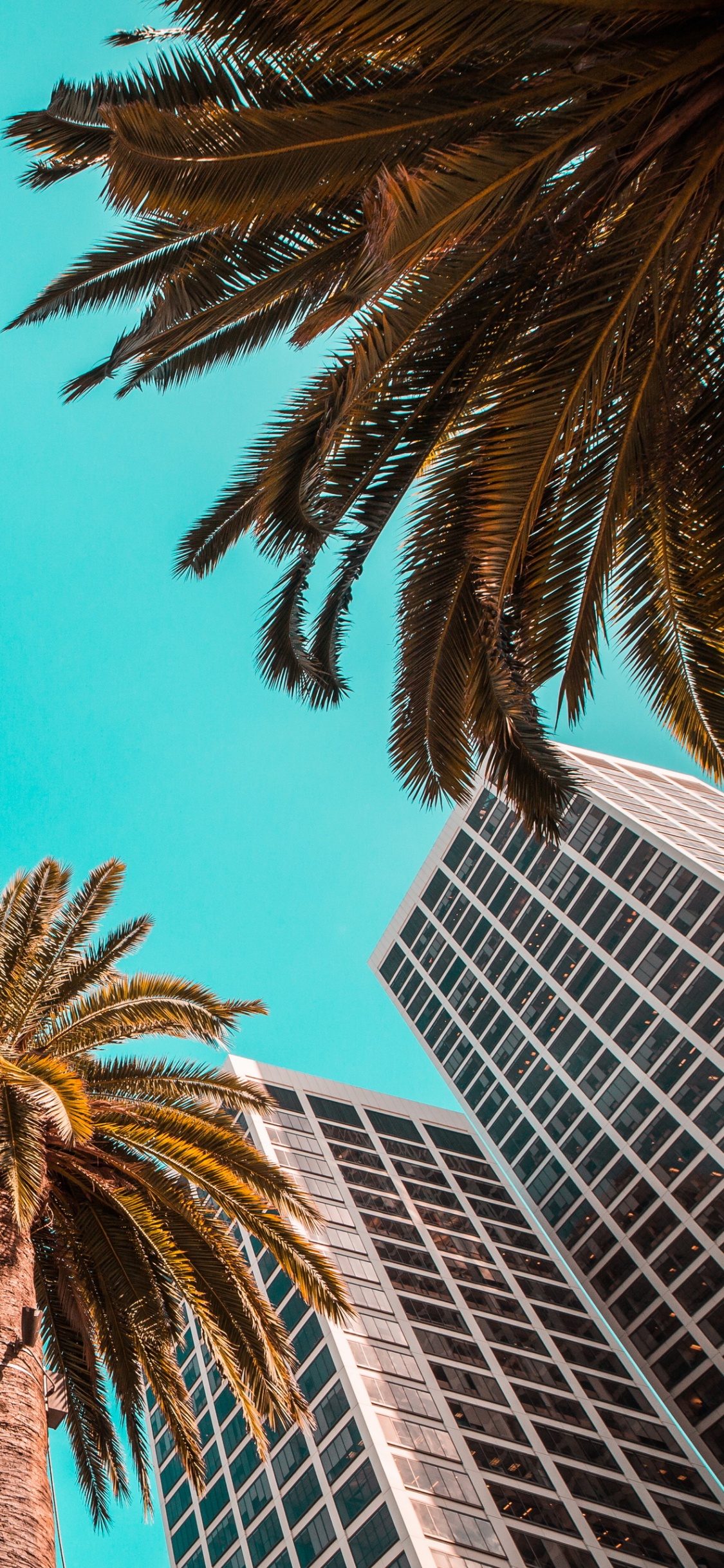 Обои дизайн, здание, дневное время, мир, свет в разрешении 1125x2436