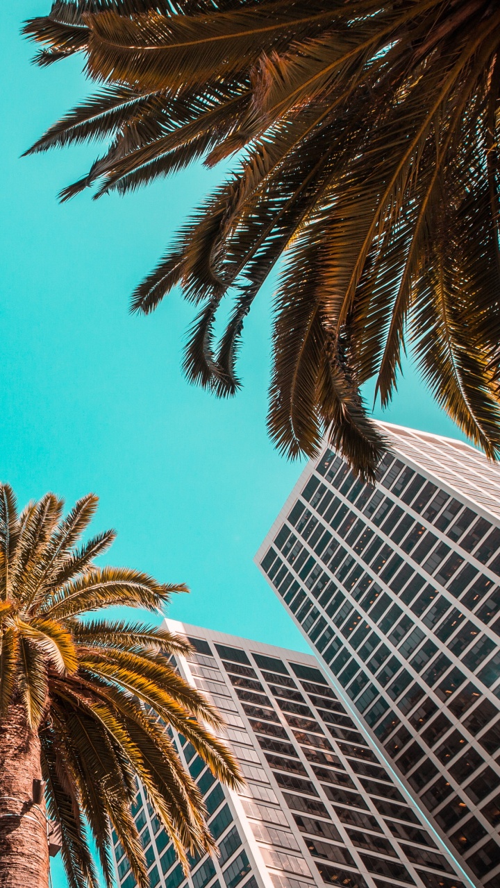 Обои дизайн, здание, дневное время, мир, свет в разрешении 720x1280