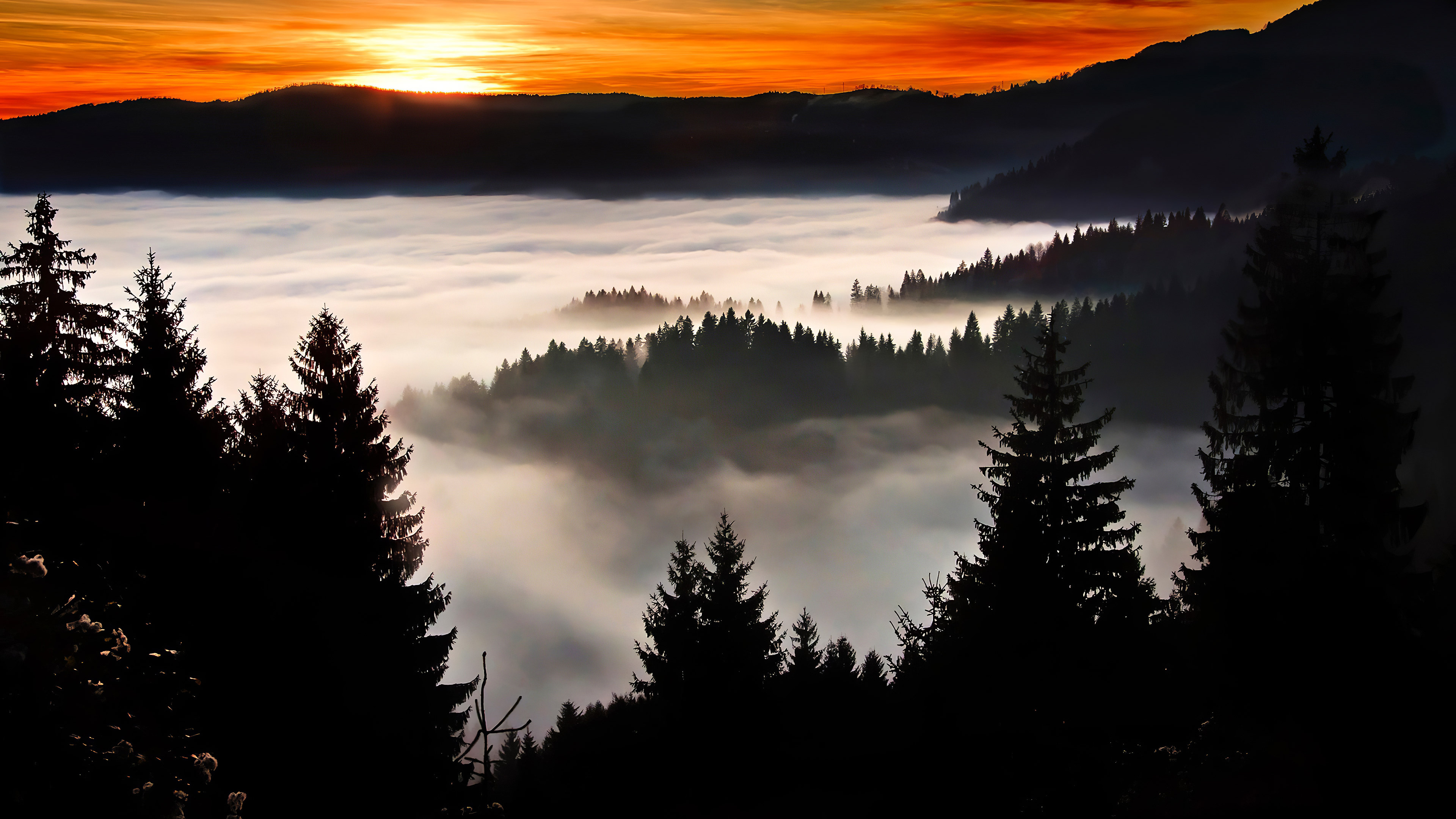 Обои силуэт, дерево, восход солнца, утро, небо в разрешении 3840x2160